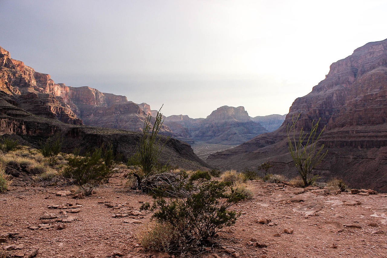 grand canyon wilderness