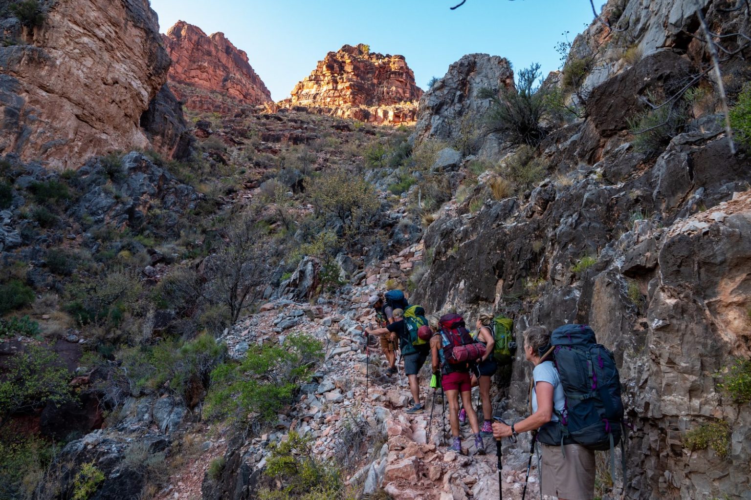 grand canyon trips for families